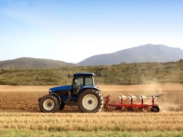 WhatsApp Image 2025-05-23 at 8.29.25 PM (2).jpeg WhatsApp Image 2025-05-23 at 8.29.25 PM (2).jpeg